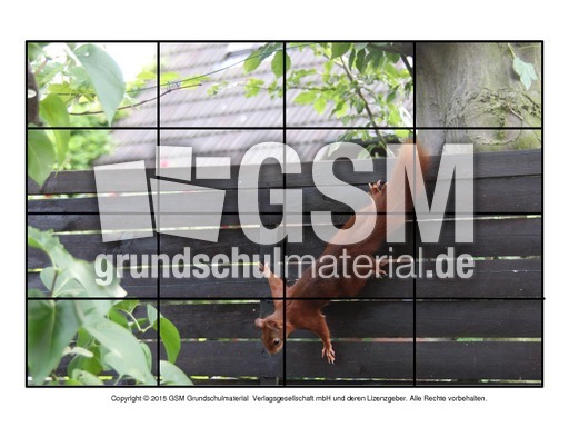 Puzzle-Eichhörnchen-18.pdf